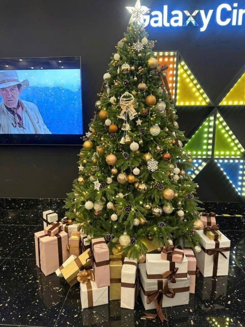  Báo Giá Trang Trí Cây Thông Noel Tại Quận 6. Ảnh 5